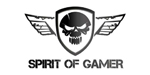 SPIRIT OF GAMER